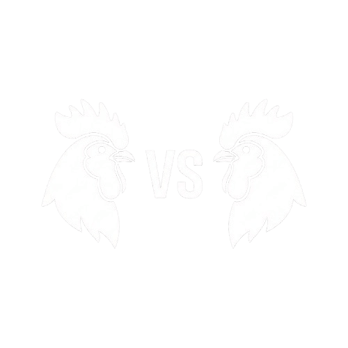 Sabung Ayam VS